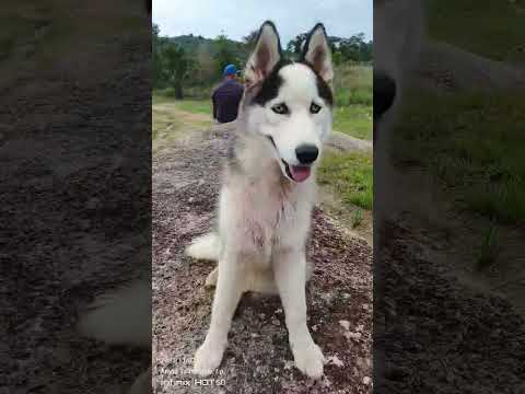 #comunidad lencho #rio sipapo #piano #municipio Autana #amazonas #venezuela