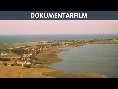 Ribnitz-Damgarten - Doku (ganzer Film auf Deutsch) - DEFA