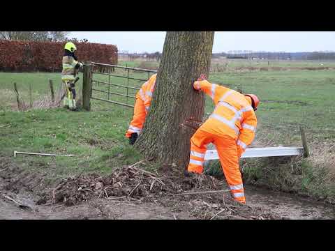 Boom dreigt om te vallen Groenestraat Lienden 16 02 2020