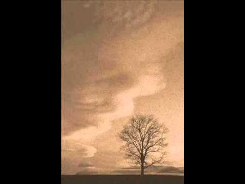 Vasilija Radojcic - Srce moje, tise, tise!