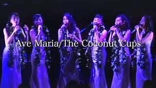 Ave Maria / The Coconut Cups　ザ・ココナッツ・カップス　原順子 斉藤久美 吉川智子 菅木真智子 清水美恵 長屋美希　アヴェ マリア