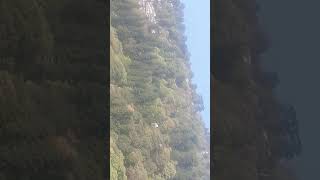 preview picture of video 'Nainitaal Naini Lake Trip'