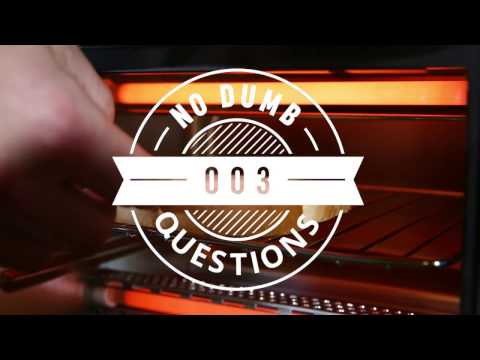 No Dumb Questions 003 - Drones and BEARS?