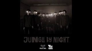 Jungle By Night -  Desdemona