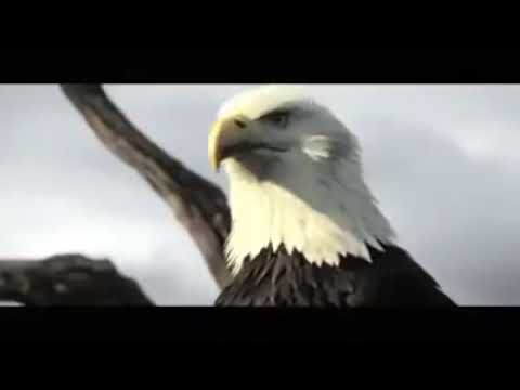 Wo sang gira jo hail hai || wo sang e giran jo haal hai || Mufti Faizal Gafoor || 