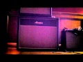 Avatar 212 W Celestion G12 65 S Peavey Classic 30 Wmv