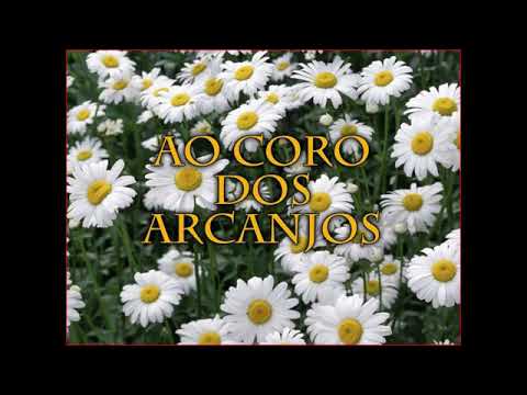 Hinário Adventista 19 Ao Coro dos Arcanjos