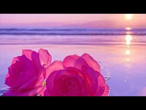Lara S Theme From Dr Shivago - Richard Clayderman