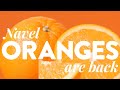 Navel Oranges Back In Season Sunkist ​