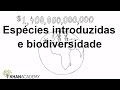 Vídeo para vidio sobre biodiversidade
