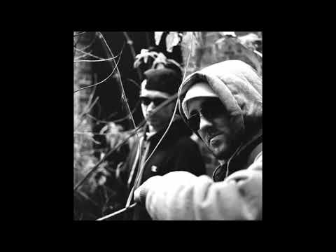 Trellion & Sniff - Moon Chickens [Morriarchi remix]