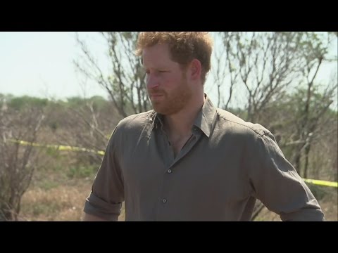 Prince Harry is visibly moved as he sees poached rhino carcasses in South Africa