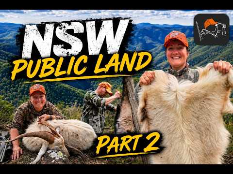 Public Land Hunt NSW (Part 2)