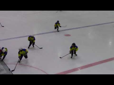 HC Vipers F WHITE – Narva PSK F09