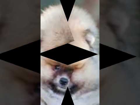 😚😚😄😄😄😁😁