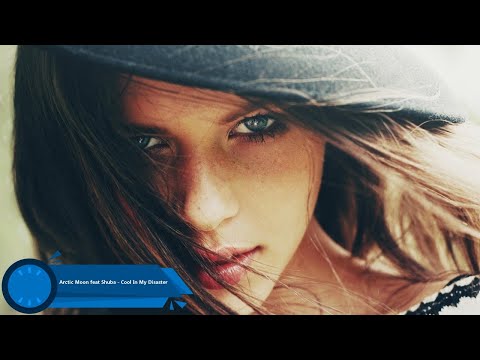 Arctic Moon feat Shuba - Cool In My Disaster