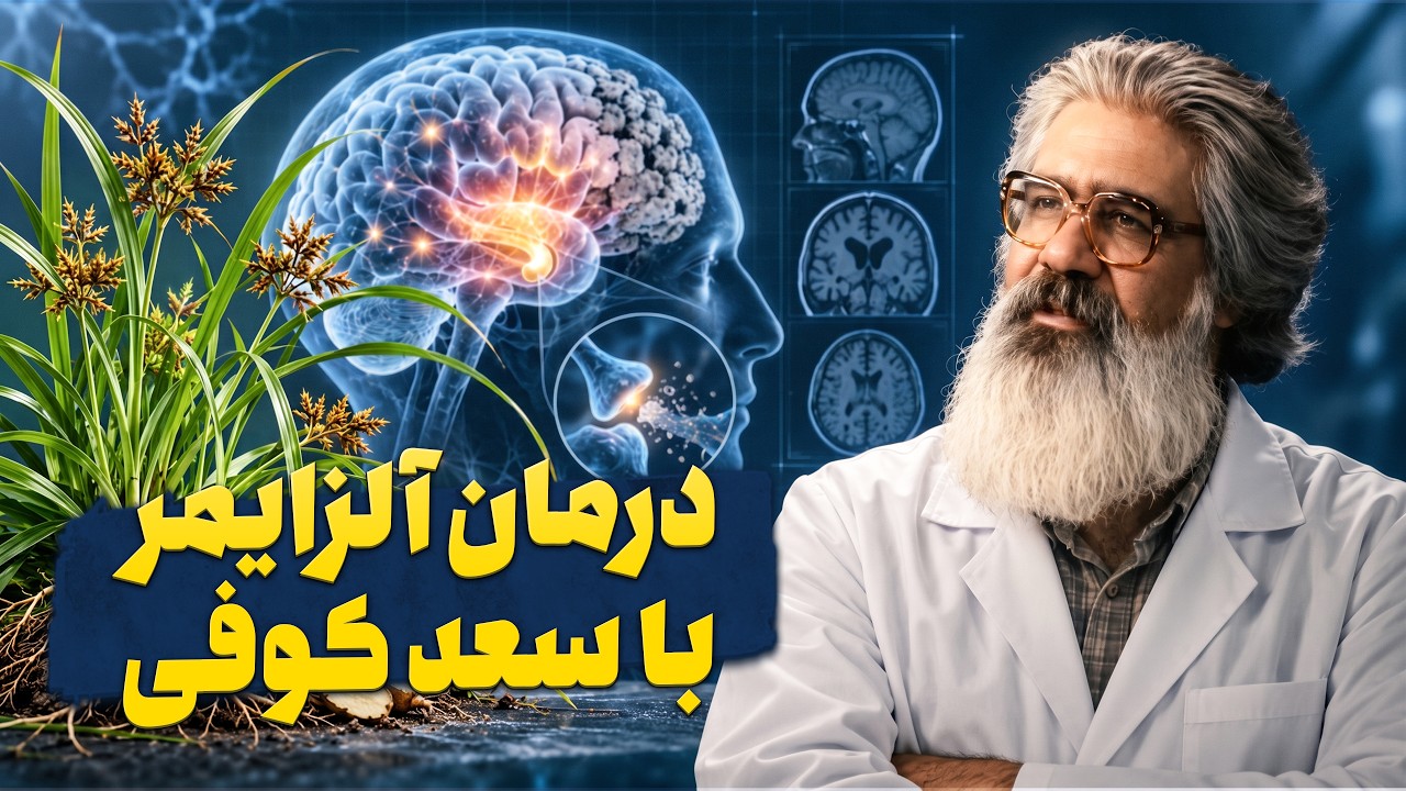 فرمول طلایی تقویت حافظه و پیشگیری از آلزایمر در طب سنتی | برنامه طبیب