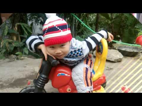 Xiger Xiger ( chào 2016)