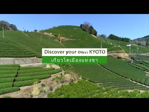 Discover your own KYOTO | เกียวโตเมืองแห่งชา | 2min | ฉบับภาษาไทย