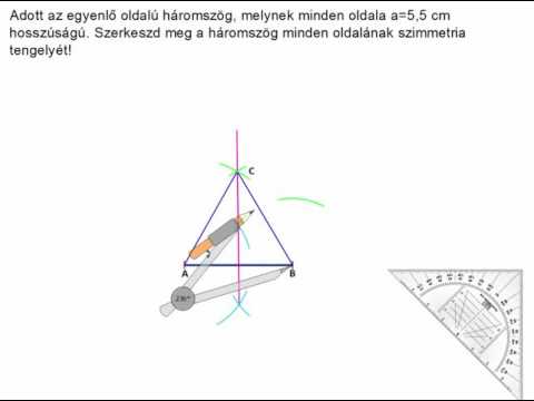 földigiliszták az emberi székletben)