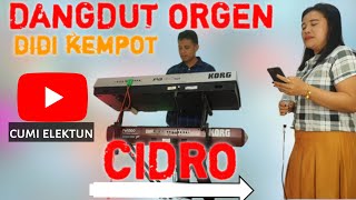 Download lagu CIDRO DANGDUT ORGEN (CUMI ELEKTUN)didi kempot mp3