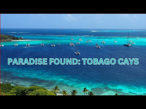 PARADISE FOUND: TOBAGO CAYS - TEAL BLUE WATERS, SWAYING PALMS, ENDLESS FUN!
