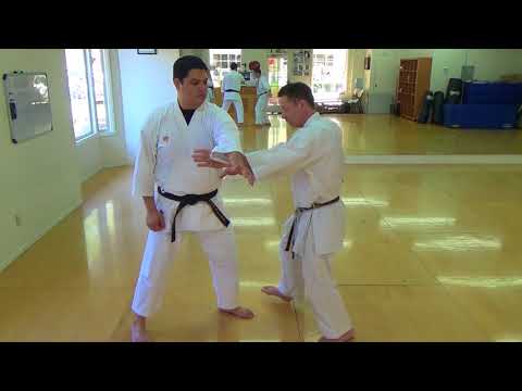 Saifa Excerpt - Kihon Bunkai