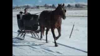 Sleigh Ride