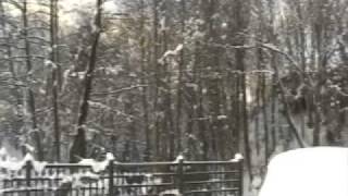 preview picture of video 'Abercegir Winter'