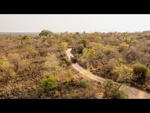 Guide Ishmael and Tracker Herman | Royal Malewane