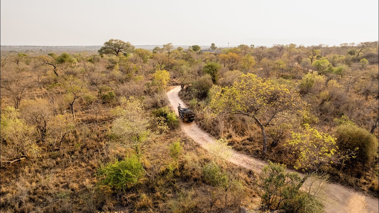 Guide Ishmael and Tracker Herman | Royal Malewane