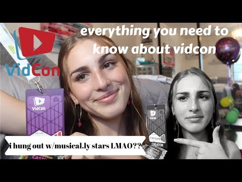 my vidcon experience !