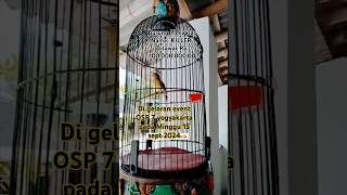 Download lagu 'KILLER' di tawar Rp.100.000.000,00 #pcmi mp3 Download lagu 'KILLER' di tawar Rp.100.000.000,00 #pcmi mp3