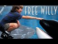 Free Willy 1993 Family Drama Jason James Richter Lori Petty Michael Madn Film Review Facts