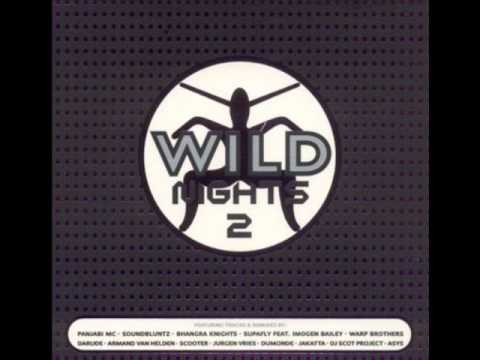 WILD FM VOLUME 19 - HOT 30 MEGAMIX (WILD NIGHTS 2) (KCB)