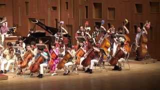 Star Wars: The Asteroid Field(小惑星の原野)