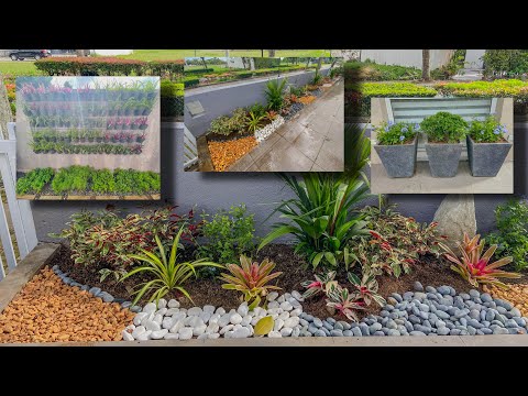 COMPLETE MAKEOVER IN 6 MINUTES! | LANDSCAPE