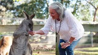 FJ Tours | Award Winning Blue Mountains Tour