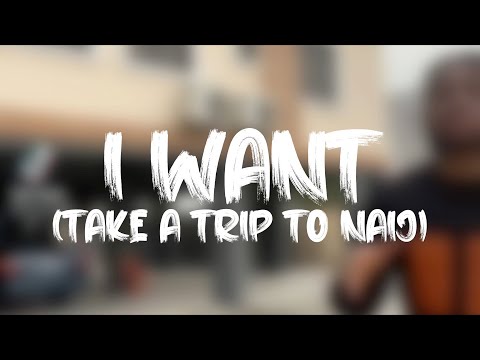 Dice - I Want (Lyric Video)