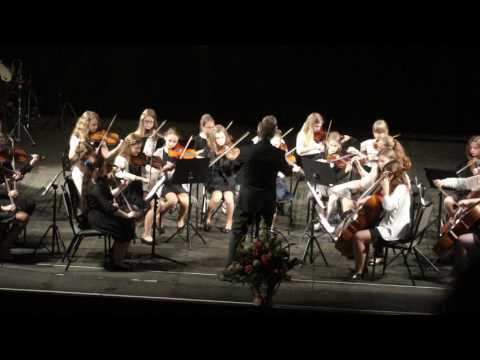 Gliwiczanie Gliwiczanom 2017 cz. 1