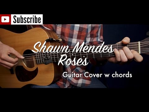 Roses - Shawn Mendes