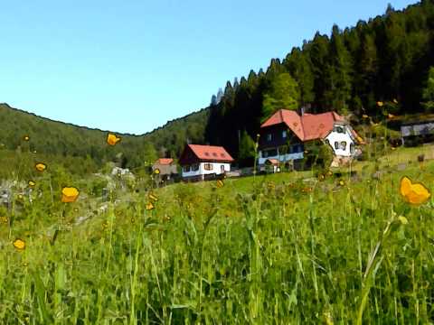 Im schönsten Wiesengrunde