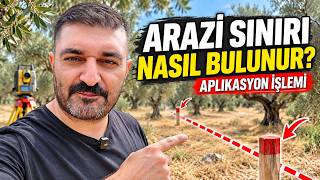 Zeytinlik ve tarla Sınırı Nasıl Belirlenir? Aplikasyon İşlemini Baştan Sona Göst