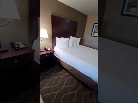 Best Western Plus Burleson Inn & Suites Room Tour