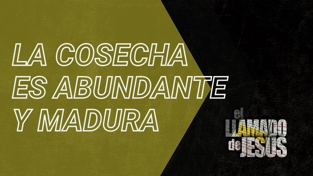 6 LA COSECHA ES ABUNDANTE Y MADURA Deje de creer en las mentiras de Satanás