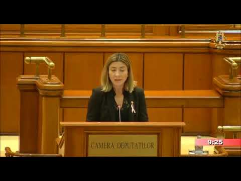 14.11.2017 - Declaratie politica - Oana Bizgan, deputat USR.