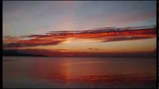 Oriental Dawn-bekhit