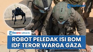 Robot Peledak Israel Masih Jadi Teror di Gaza, Warga Takut Pulang karena Bom Tersembunyi