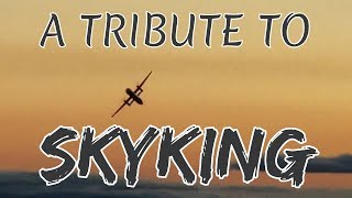 Tribute to SkyKing