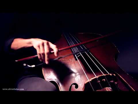 Don't try this at home - Olivier Babaz